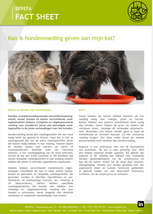 afbeelding fact sheet dogfood to cat NL