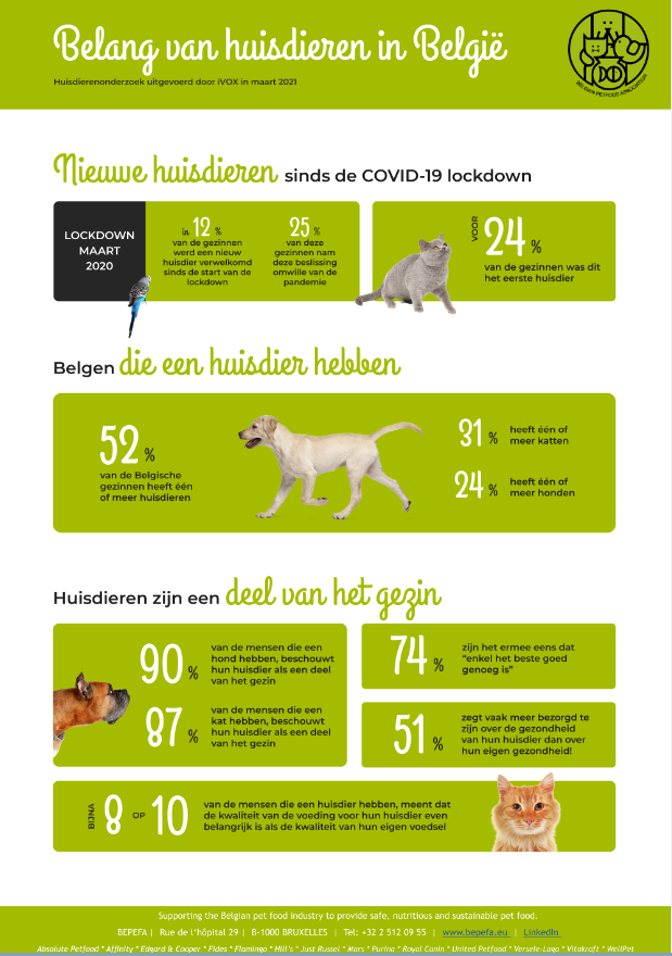 infographic NL afbeelding website